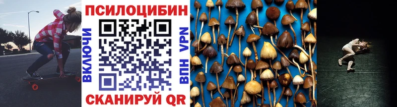 Псилоцибиновые грибы мухоморы  Купить где  Вилючинск 
