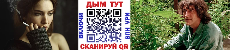 Купить закладки  Вилючинск  Канабис марихуана 